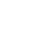 network-secure-nounproject
